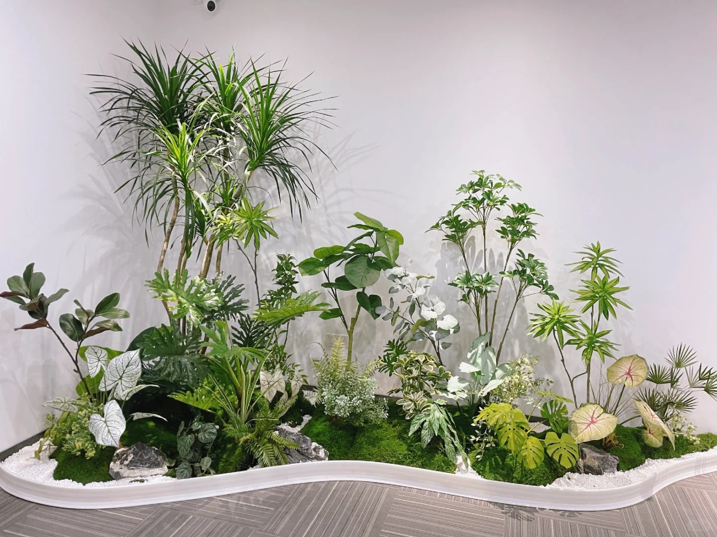 体验宁波杭州湾花卉租摆设计，邂逅绿植新时尚